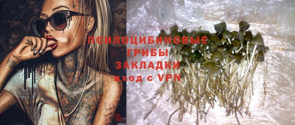 герыч Лагань