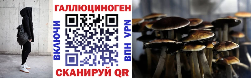 Купить закладки  Истра  Псилоцибиновые грибы Psilocybe 
